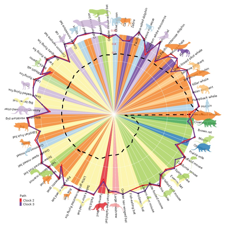 Sharing references: Universal DNA methylation age across mammalian tissues