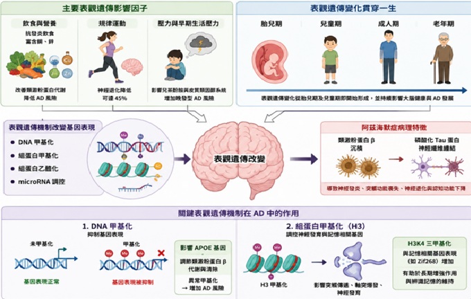 表觀遺傳學與阿茲海默症