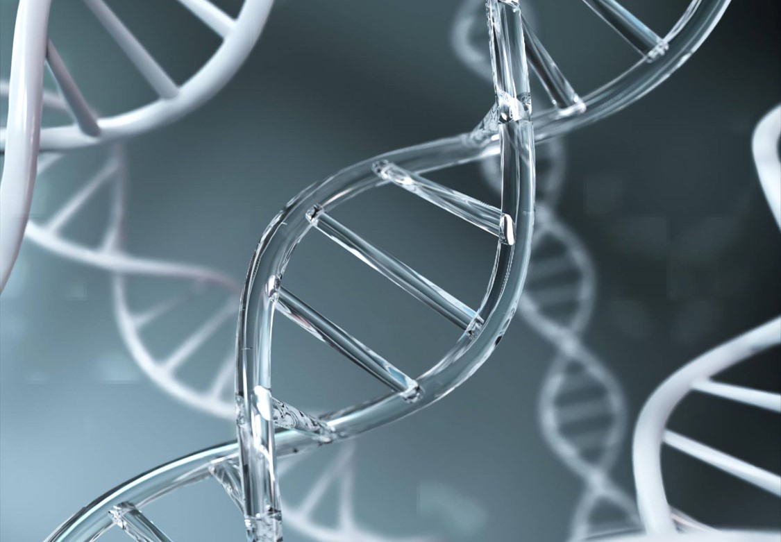 The role of sphingosine 1-phosphate (S1P) in tumor epigenetics