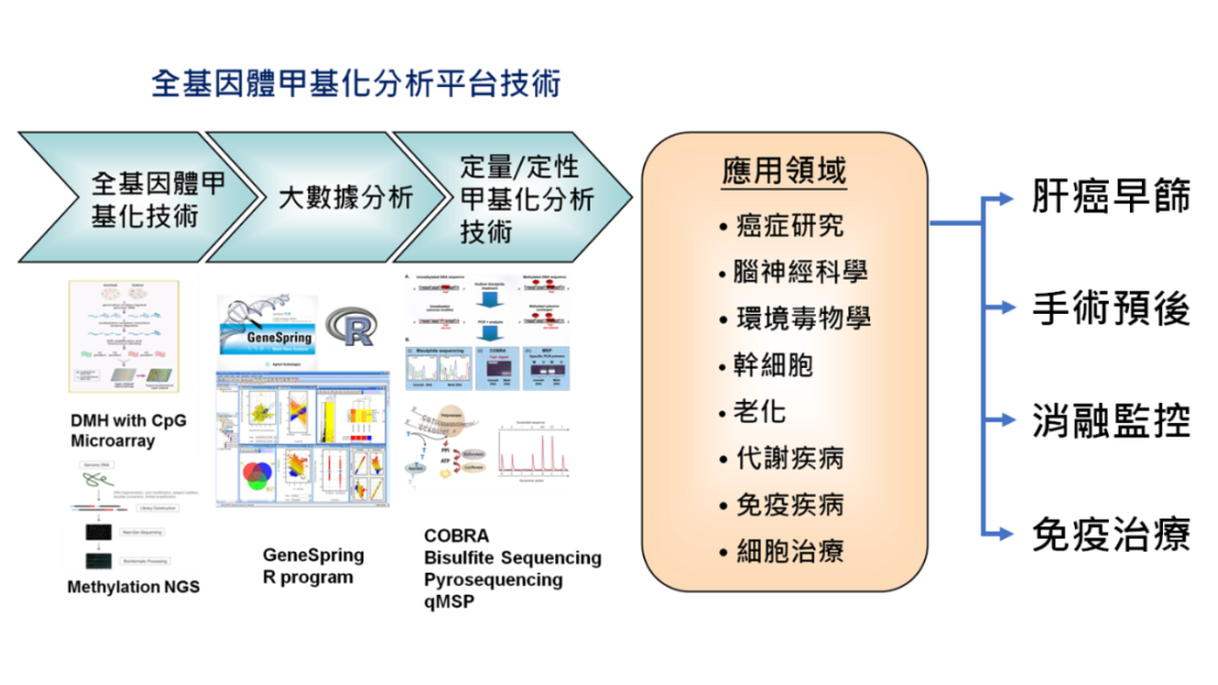 全基因體甲基化分析平台技術
