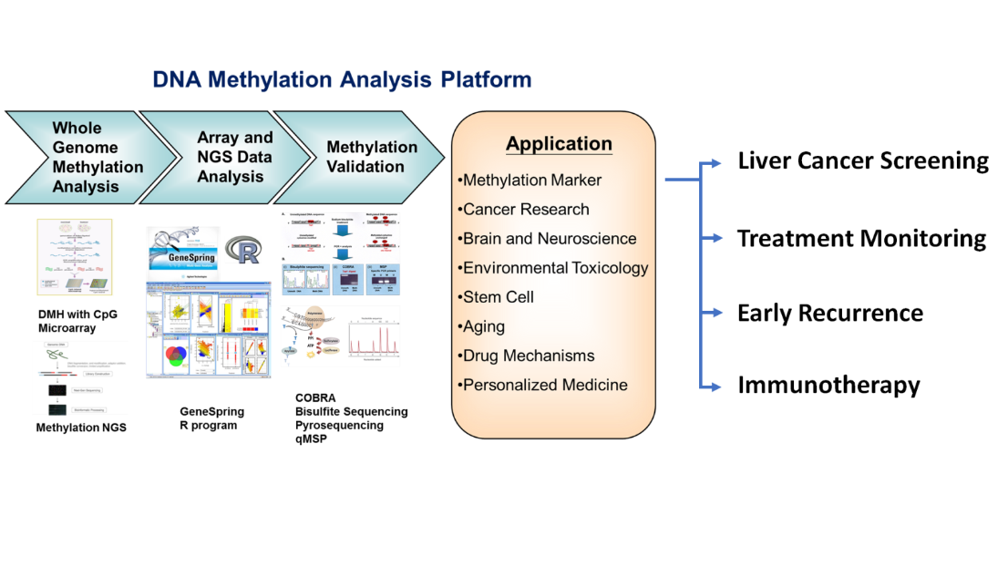 DNA methylation analysis platform