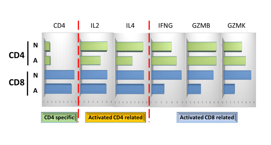 免疫細胞功能評估