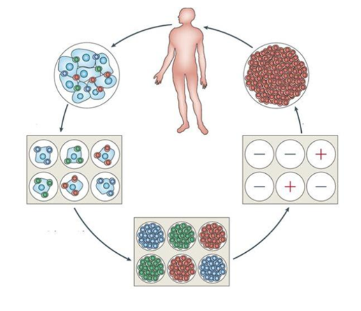 艾普森生醫 | 免疫細胞治療