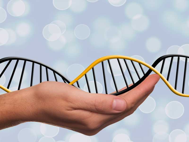 第二代肝癌ctDNA甲基化早篩 第二代肝癌ctDNA甲基化早篩